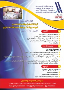 آلية التعامل والاستفادة من قواعد بيانات وبنوك استطلاعات الرأي